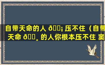 自带天命的人 🐡 压不住（自带天命 🕸 的人你根本压不住 窦文涛）